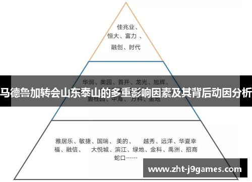 马德鲁加转会山东泰山的多重影响因素及其背后动因分析 马德鲁加转会山东泰山的多重影响因素及其背后动因分析